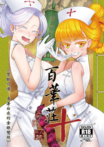 Hyakkasou 10 cover