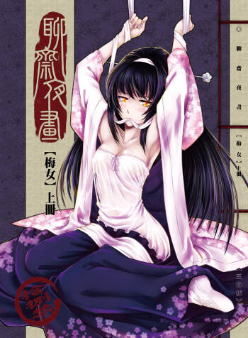 聊齋夜畫 梅女 cover