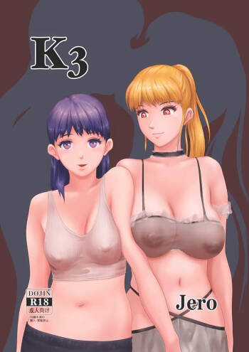 K3 cover