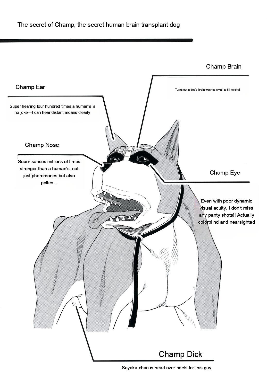 Inu no Seikatsu - A Dog's Life page 6 full