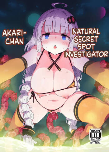 Seinaru hikyou chousain Akari chan cover