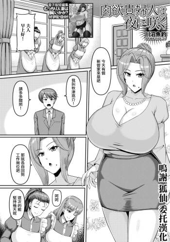 _川沼魚釣_肉欲貴婦人は夜に咲く cover