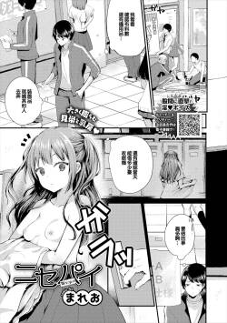 ニセパイ