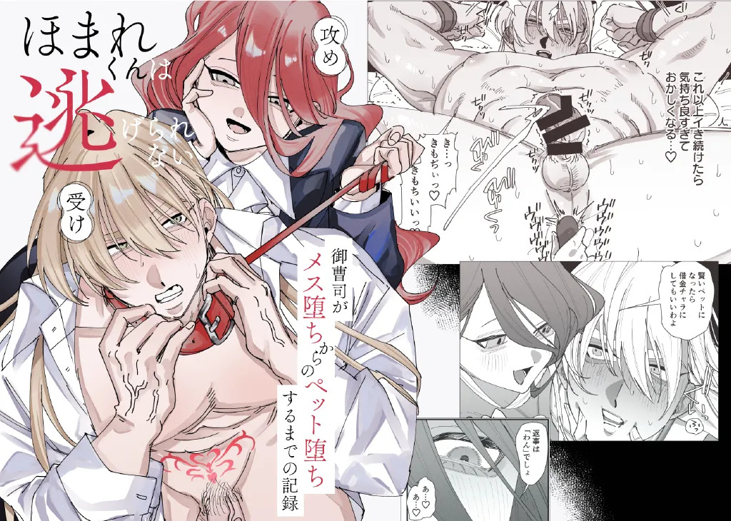 ほまれくんは逃げられない～御曹司がメス堕ちからのペット堕ちするまでの記録～ page 1 full