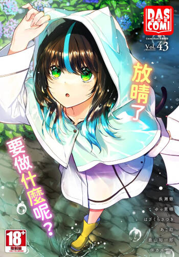 Dascomi Vol.43 cover