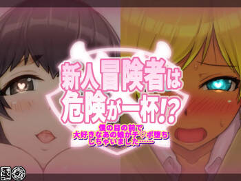 Shuniku Animated Comp 2 cover