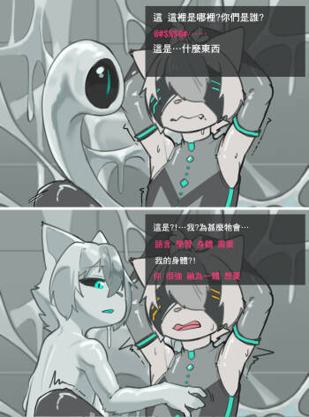 TF cover