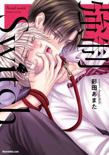 Kyousei Switch︱强制Switch cover