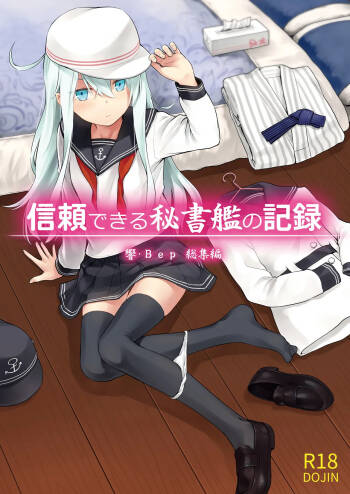 Shinrai Dekiru Hishokan no Kiroku Hibiki Bep Soushuuhen cover