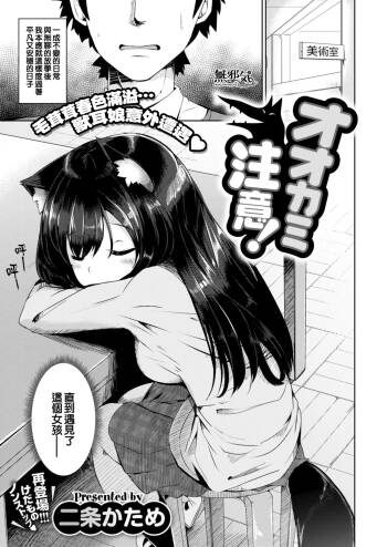 ookami chuui ! cover