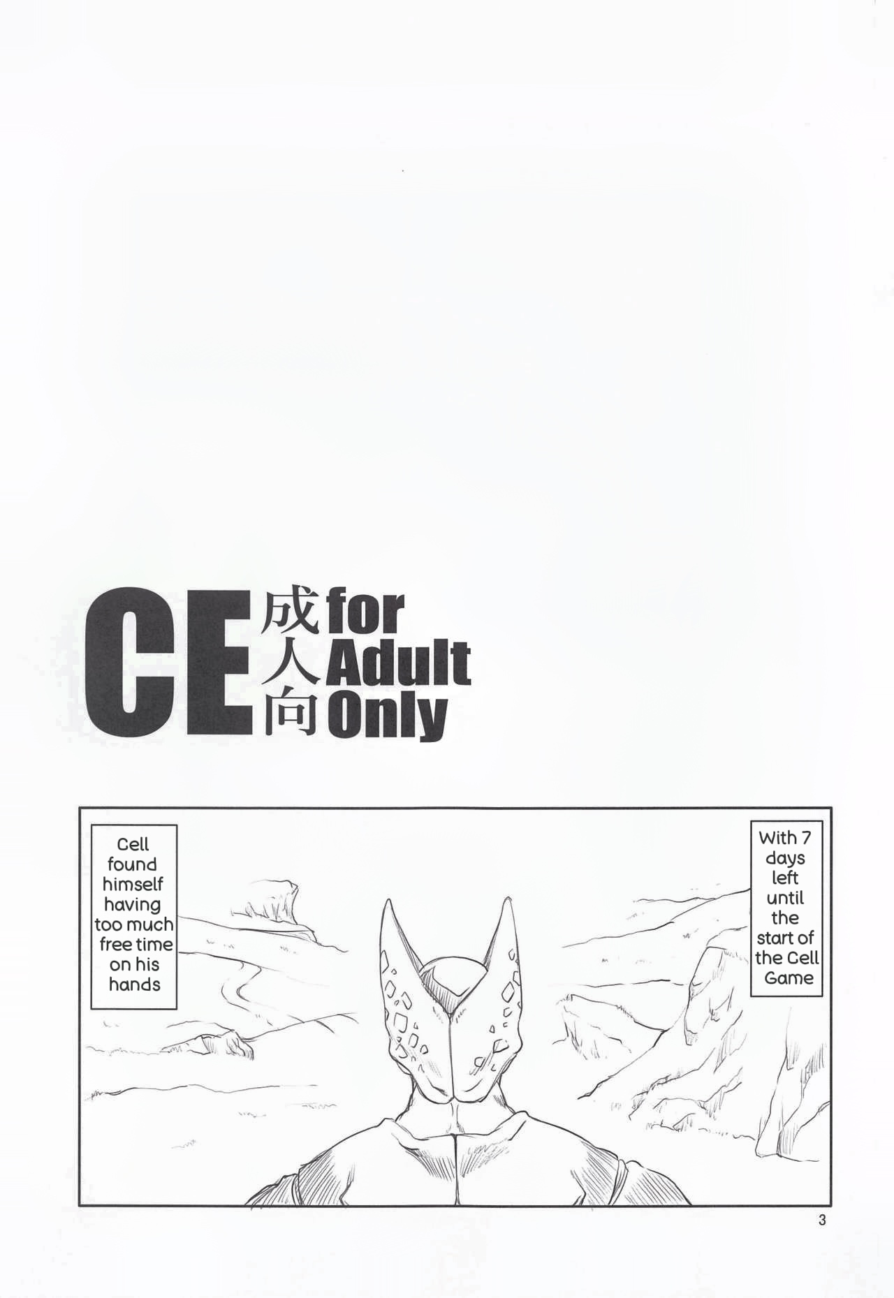 CE page 2 full