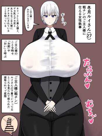 女性執事の冬月ルイさんがホームレスに… cover