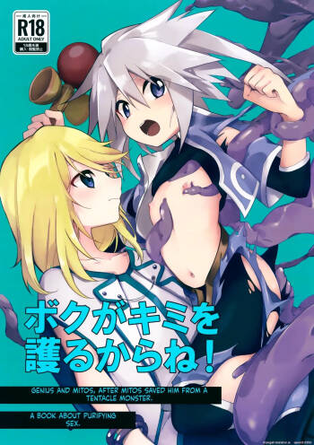 Boku ga Kimi o Mamorukara ne! cover