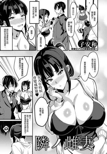 Tonari no Mesu Tsuma cover