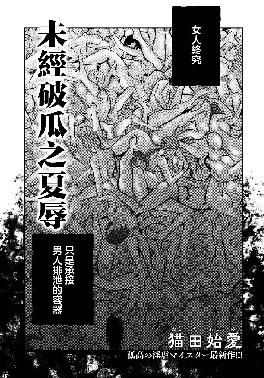 Hakanaki Kajoku | 未經破瓜之夏辱 page 1 full