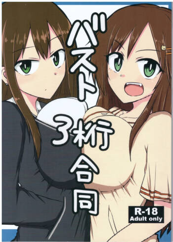 Bust size 3 digits cover