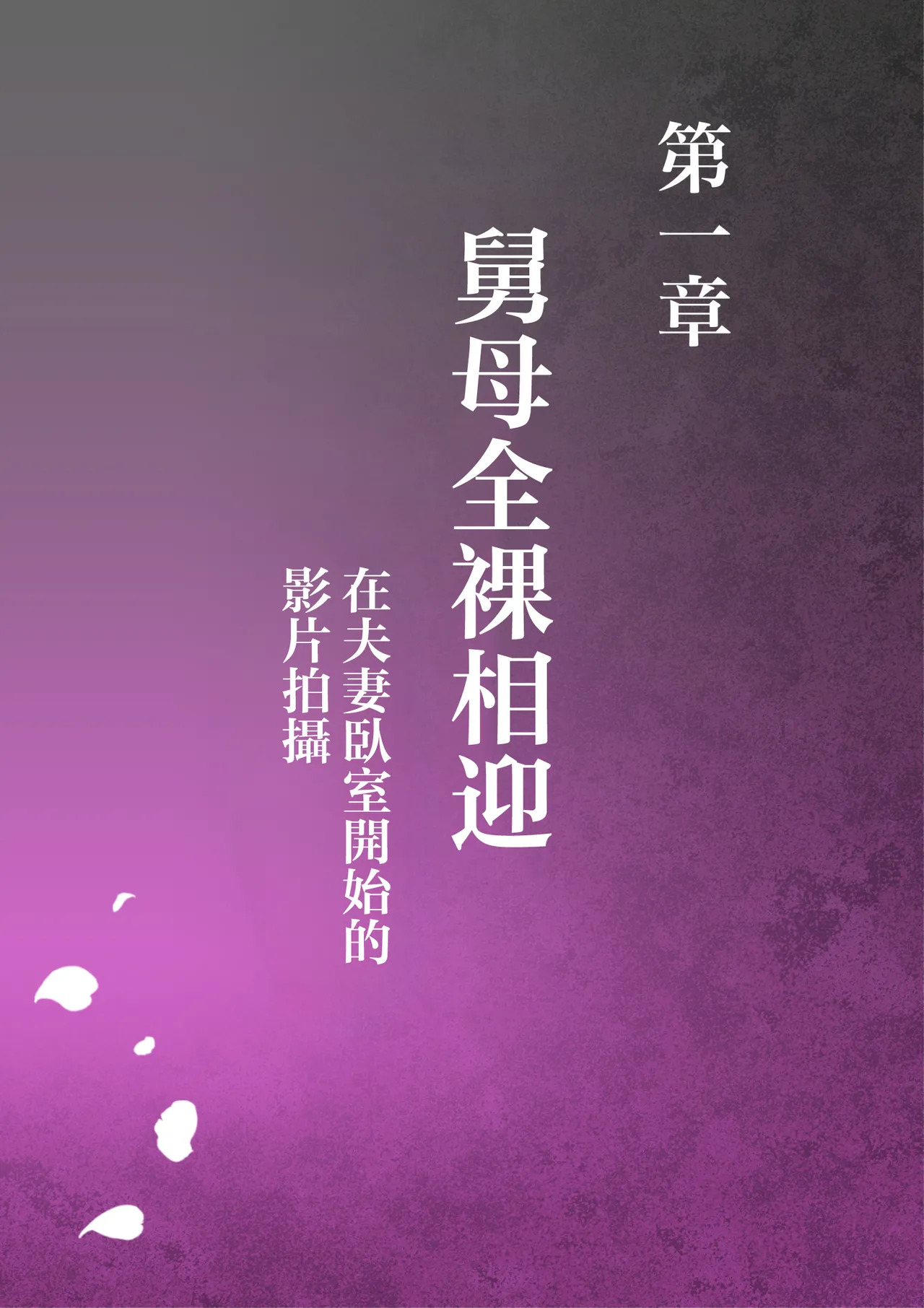 oba manami huuhu no sinsitu de douzinnAV satuei sa reru akogare no oba wo netoru3 page 3 full