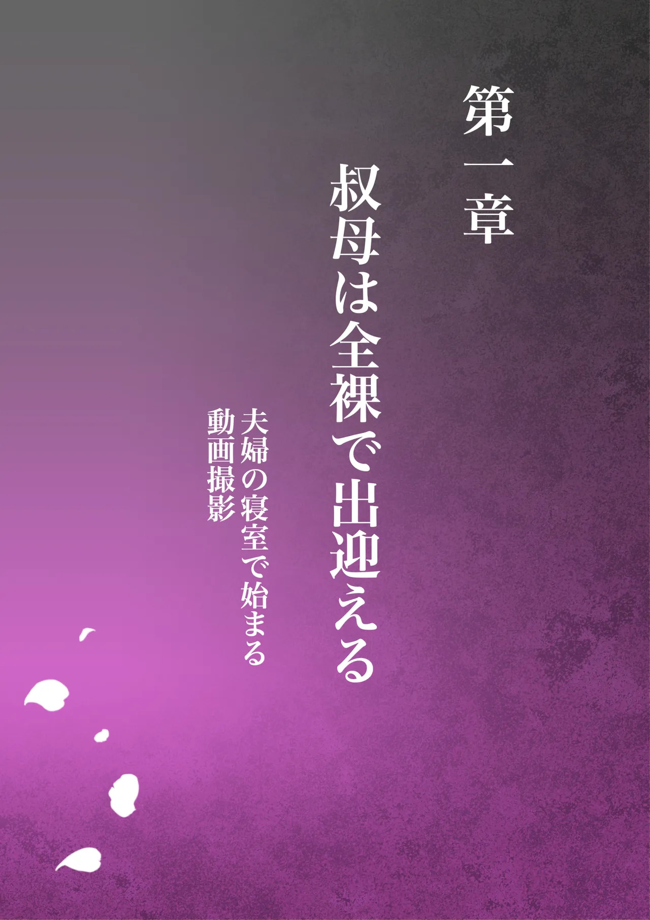 oba manami huuhu no sinsitu de douzinnAV satuei sa reru akogare no oba wo netoru3 page 3 full