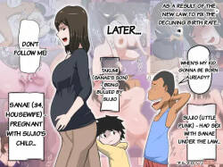 The Consequence of the Birthrate Solution Law... 3