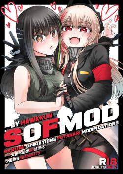 SOFMOD 1