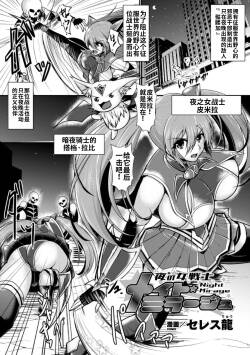夜の美少女戦士