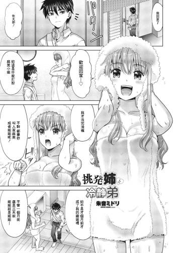 挑発姉と冷静弟 cover