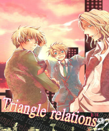 Triangle Relations cover
