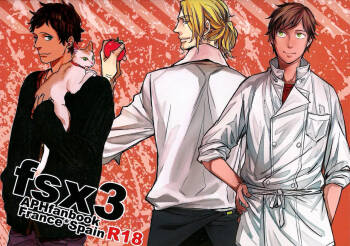 fsx3 cover