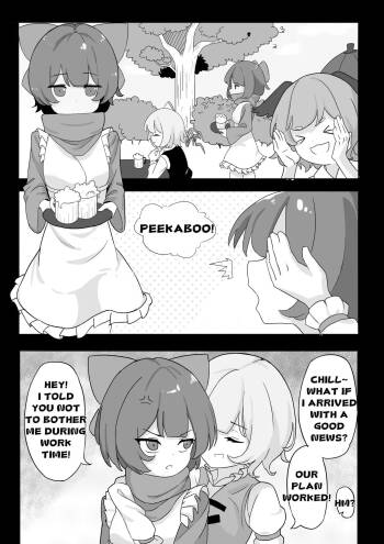 Reimu Footbox cover