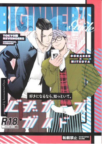 Beginner's Guide cover