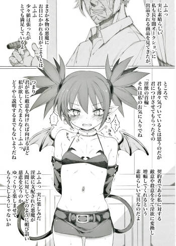 超時空美少女悪魔が捕縛されたようです cover