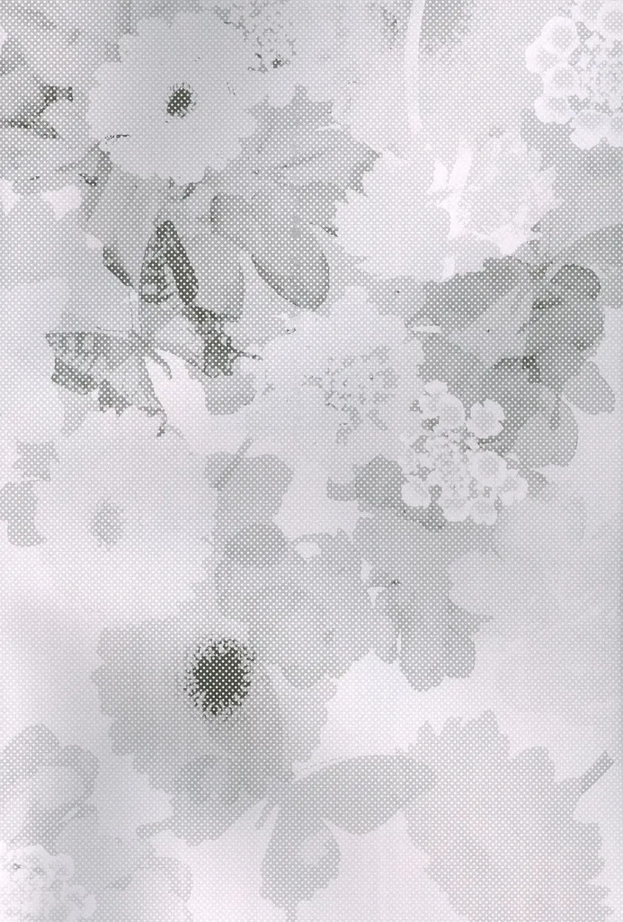 Kocchi wo Muiteyo Honey x2 page 4 full