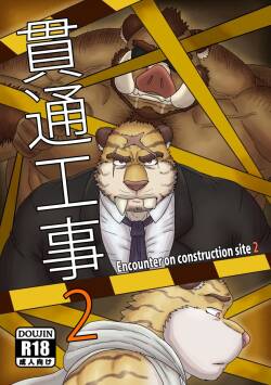 Encounter on construction site 2