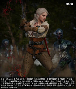 Ciri Stroy 01