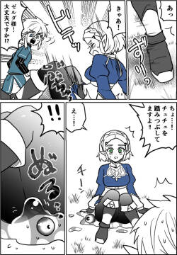 [わさび ] チュチュの事故 (ゼルダの伝説)