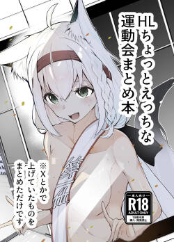 HL Chotto Ecchi na Undoukai Matome Hon | A book summarizing Hololive's slightly erotic atheletics meet