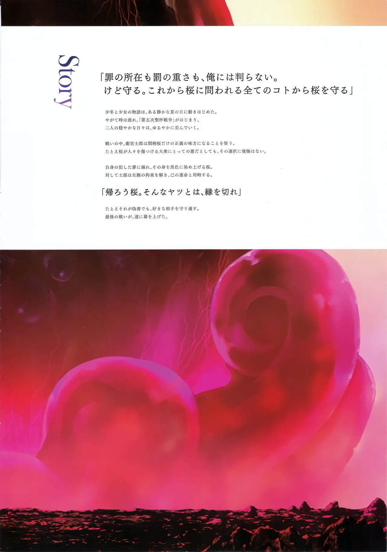 Fate stay night Heaven Feel spring song movie pamphlet page 5 full