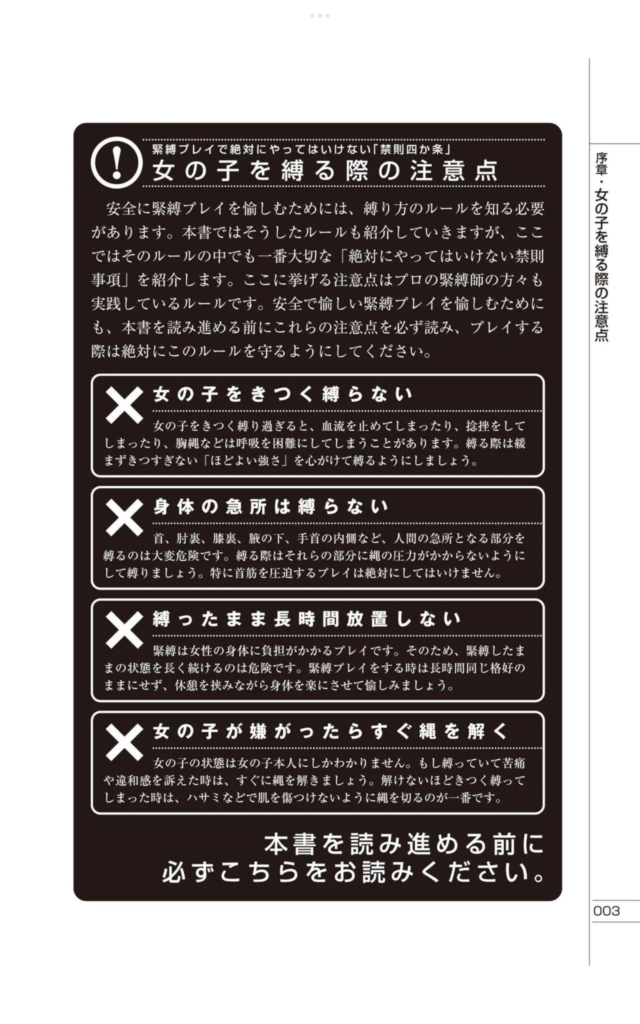 Do It Right Now! Illustrated Bondage Techniques Manual – Light Maniac Text Series page 4 full