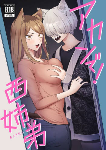 アカンで！西姉弟 cover