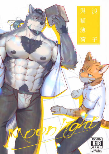 浪子与猫薄荷 cover