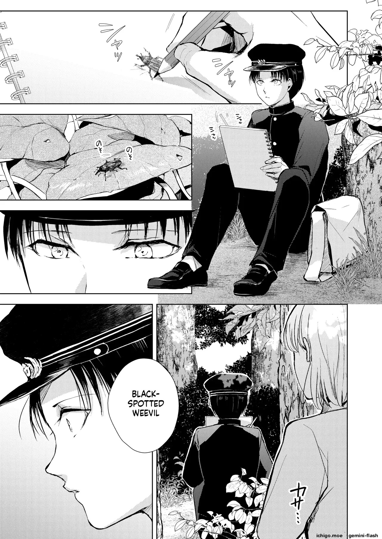 藤屋敷の標本 page 2 full