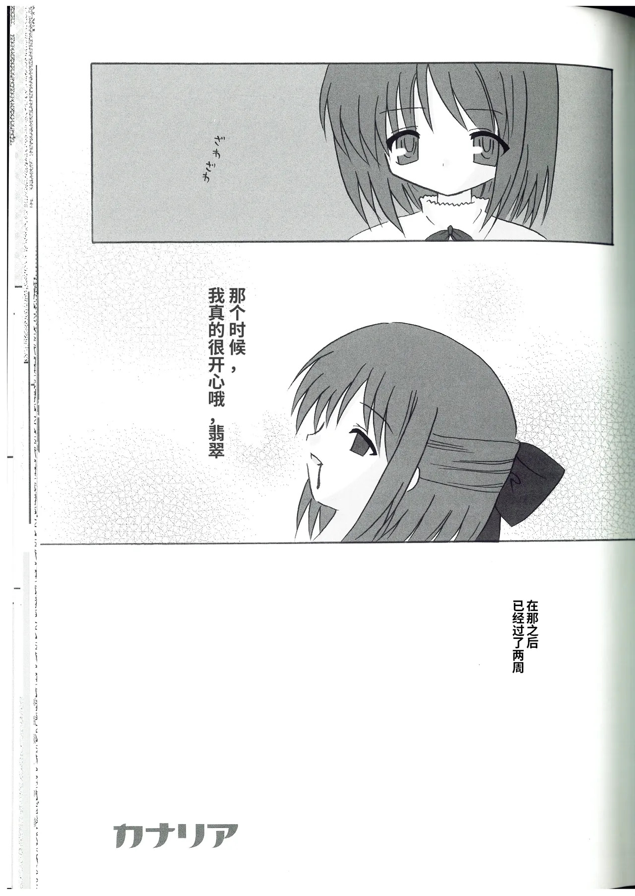 【机翻】月姬同人本《カナリア/金丝雀》Canaria（Tsukihime page 2 full