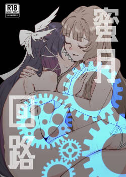蜜月回路
