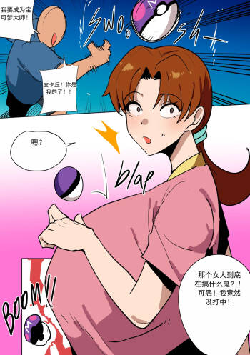 抓住小智的妈妈！（宝可梦） （chinese） cover