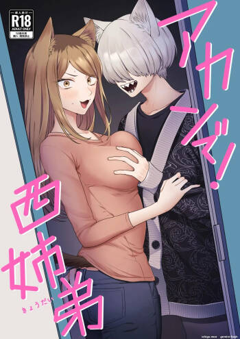 Akan de! Nishi Kyoudai cover