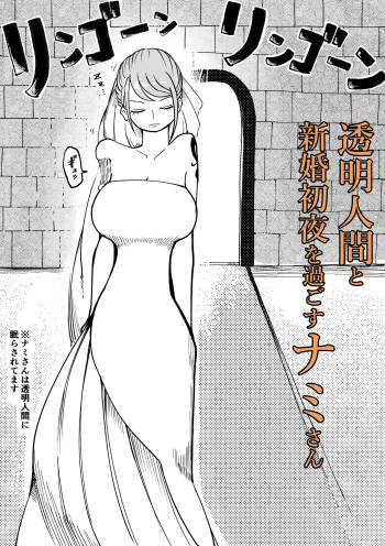 透明人間と新婚初夜を過ごすナミさん cover