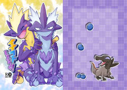 【イグアナ】来做点好事吧！（低音×高音）｜［Pokemon］｜Ace的个人汉化