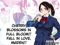 Cherry Blossoms in Full Bloom!! Fall in Love, Maiden!!