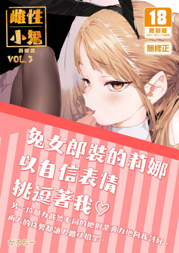 Mesugaki Rina-chan VOL. 3 | 雌性小鬼莉娜醬VOL.3 cover