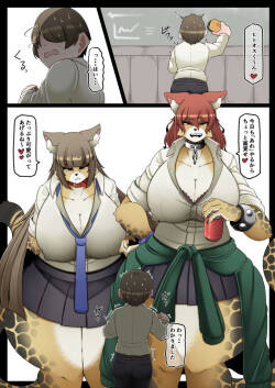 Animal School